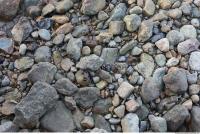 ground stones texture 0001